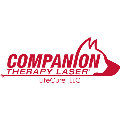 Companion Laser logo