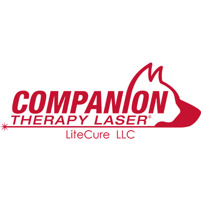 Companion Laser logo