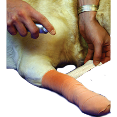 Helapet Veterinary Adhesive Remover Spray 