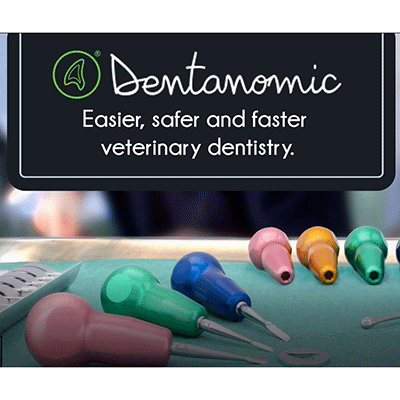 Dentanomics