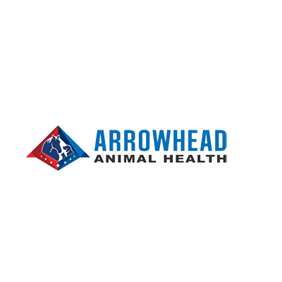 Arrowhead Logo
