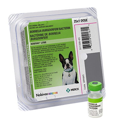how long is a lyme vaccine good for in dogs